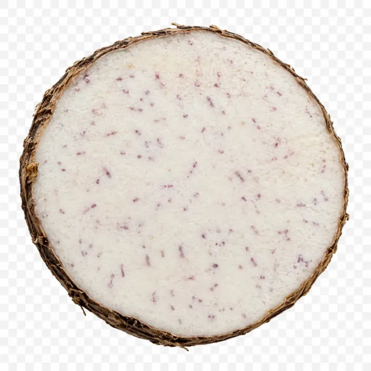 Zetmeel